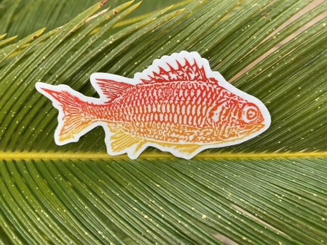 Menpachi Fish Sticker