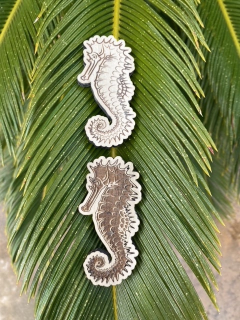 Seahorse Magnet