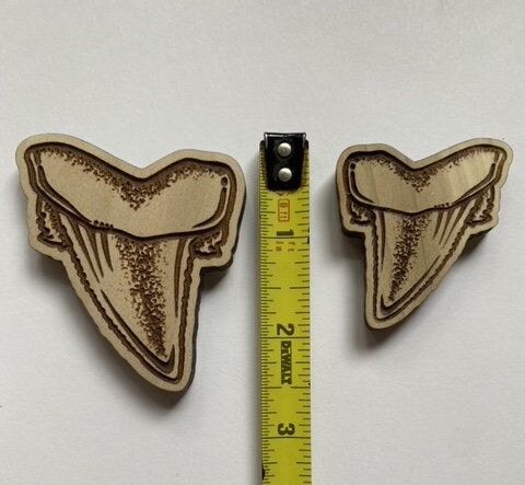 Shark Tooth Magnet