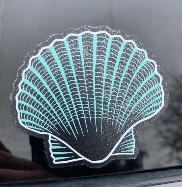 Aqua Shell Sticker