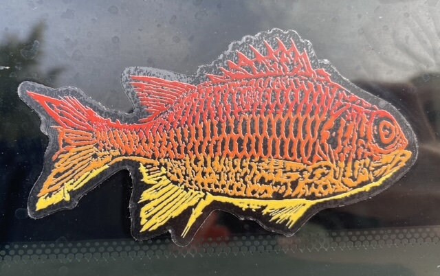 Menpachi Fish Sticker