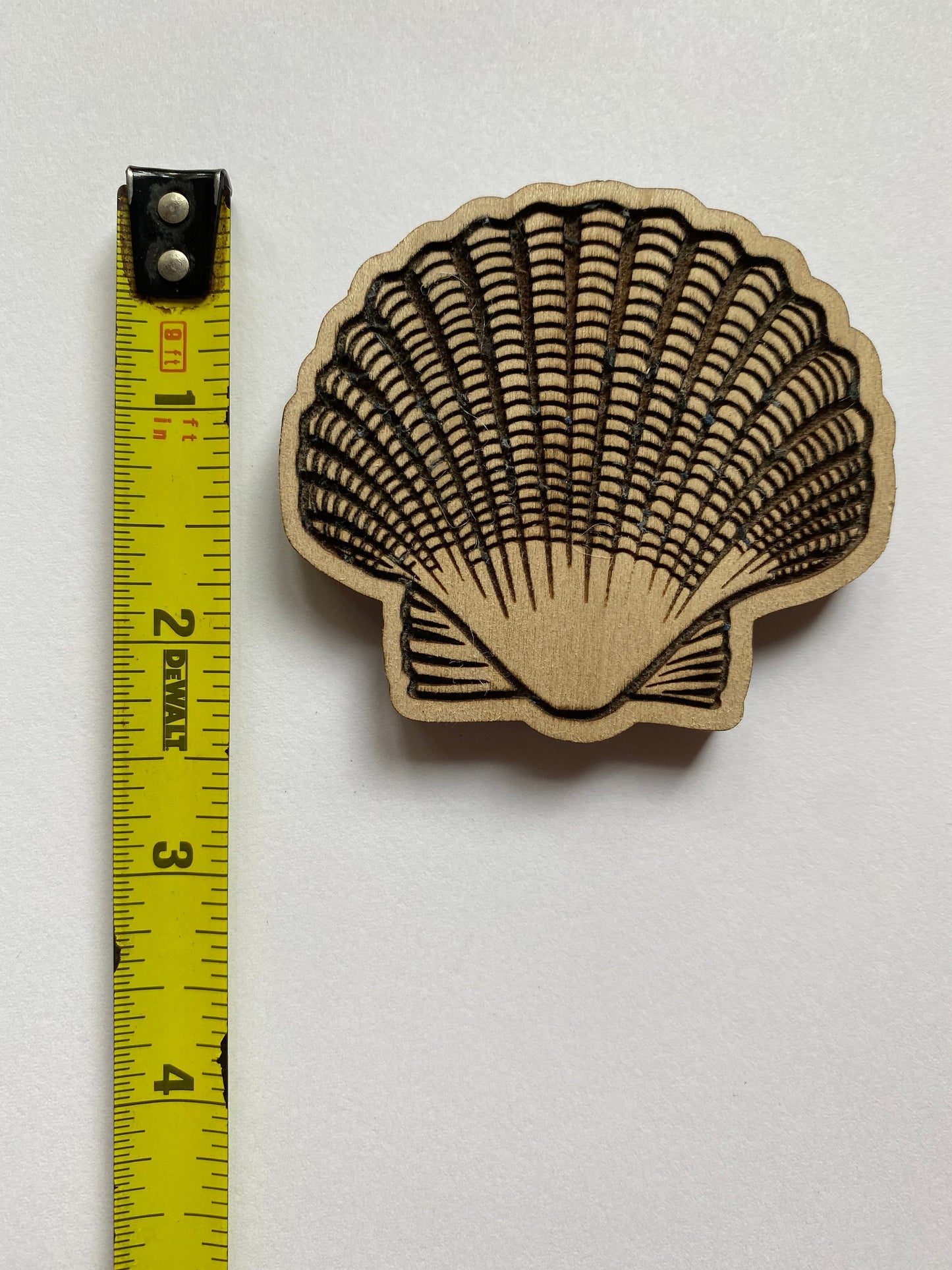 Seashell Magnets