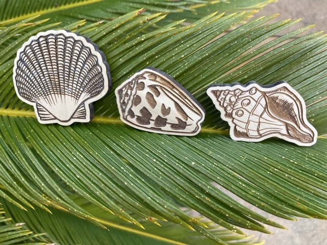 Seashell Magnets