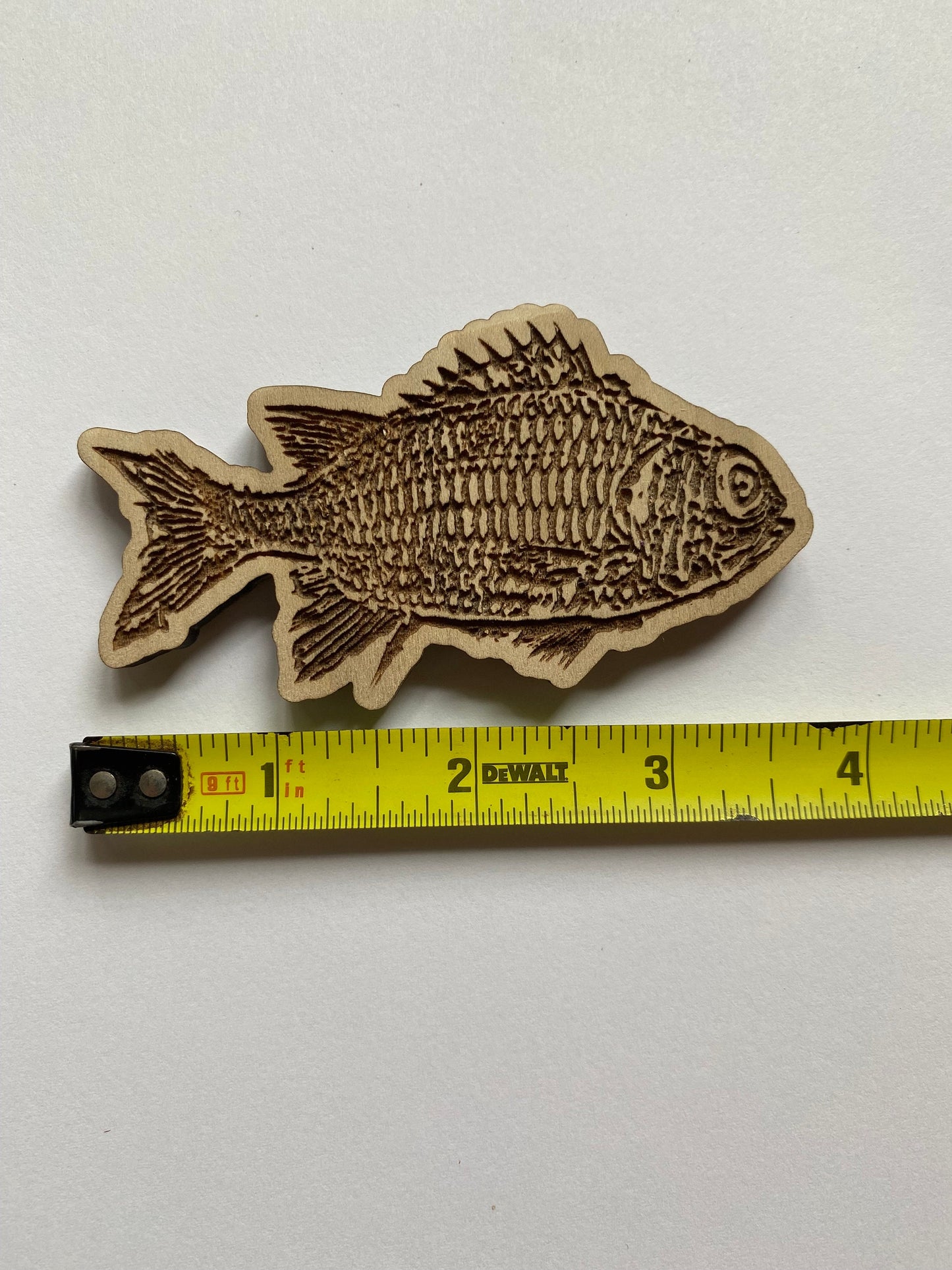 Menpachi Fish Magnet