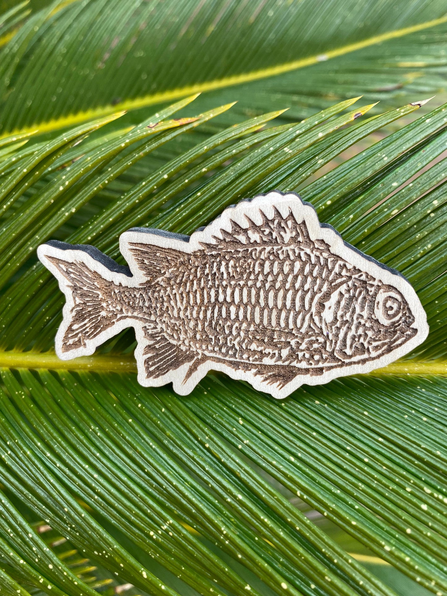 Menpachi Fish Magnet