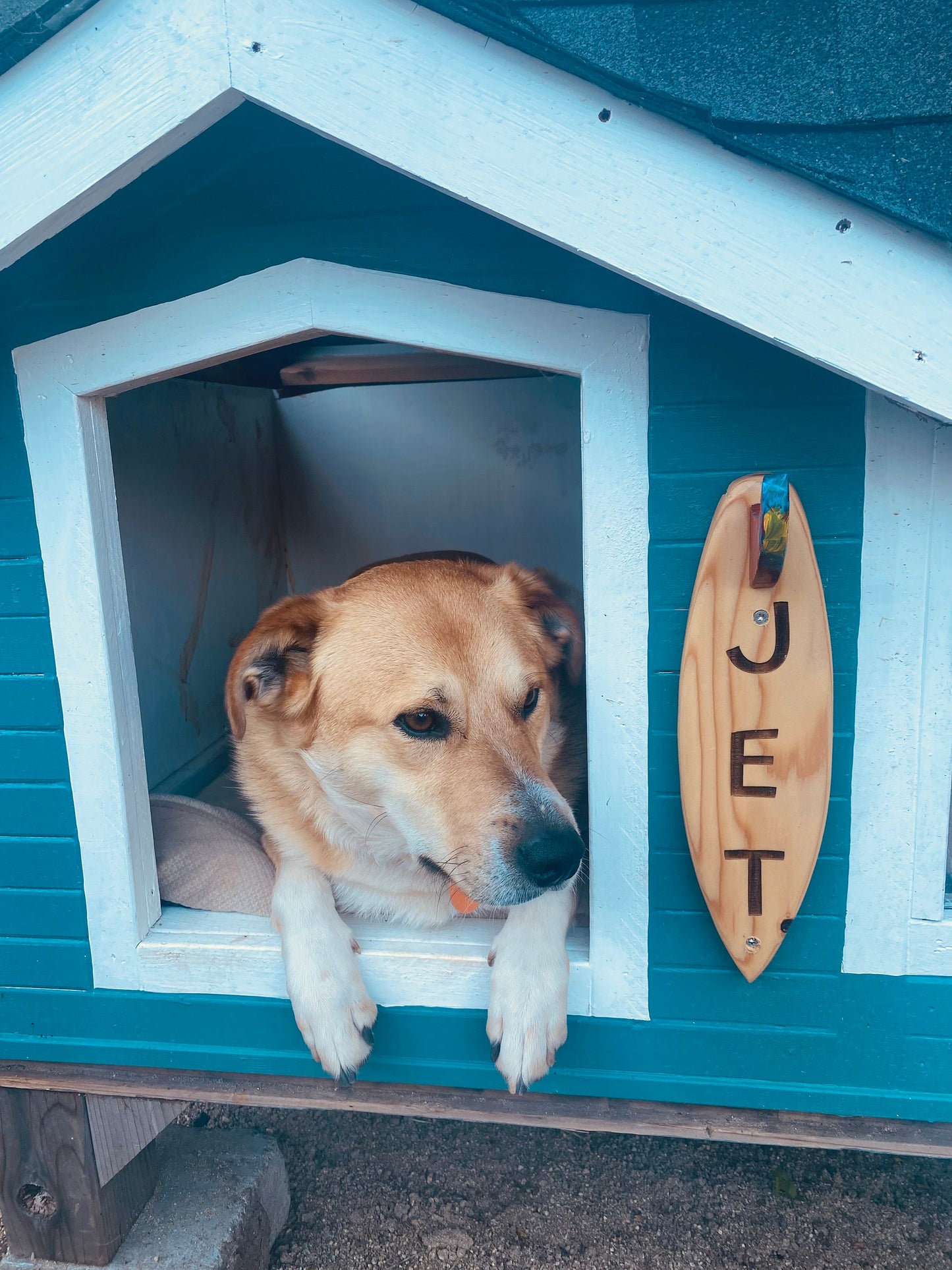 Surfboard Dog House Sign