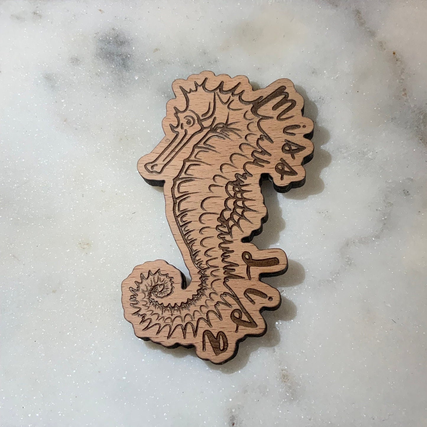 Seahorse Magnet