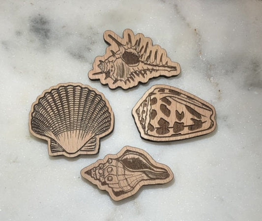 Small Sea Shell Magnets